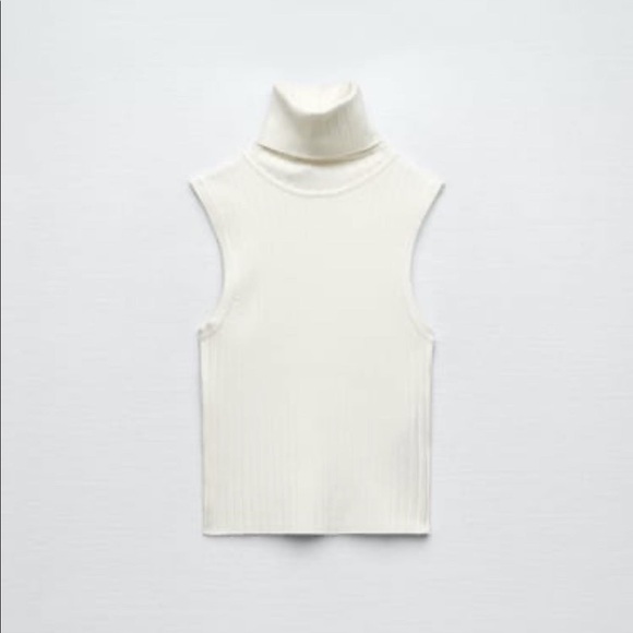 Zara | Tops | Zara Ribbed Turtleneck 